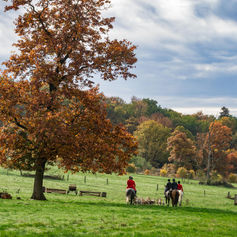 Eine Stadt als Retter der Jagd