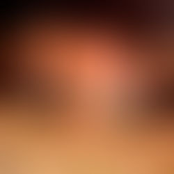 Rheinlandmeute repräsentiert DSJV