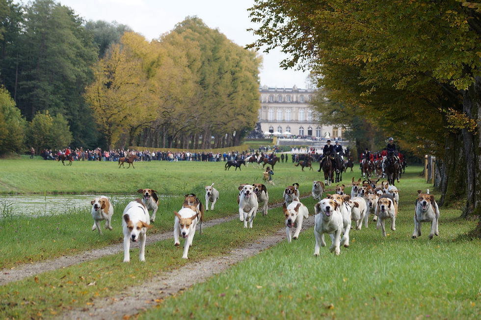 Traumtag auf der Herreninsel