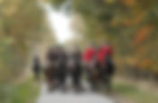 Die Münsterländer feiern die „50“