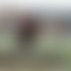 Burchard Schlüter (1963 – 2025)