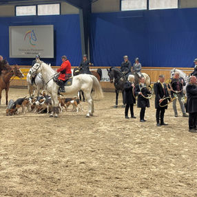 DRFV 2027 auf der Equitana