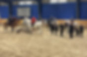DRFV 2027 auf der Equitana