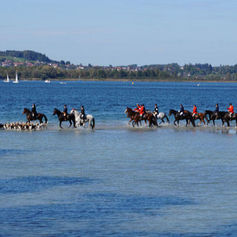 Inseljagd auf Herrenchiemsee