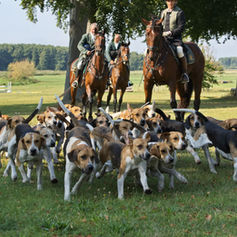 Jagd- und Musikwoche in Vanselow