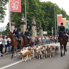 Pferdemarkt mit Bayernmeute