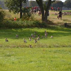 Dreilinger Jagd "wie immer"?