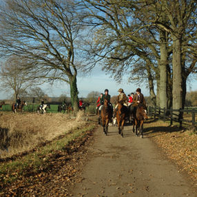 Eitze bleibt unerkannt