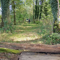 Schleppjagd am Lohberg