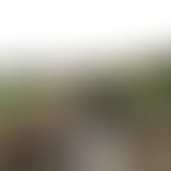 Franz Peter Coenen (1931 - 2023)