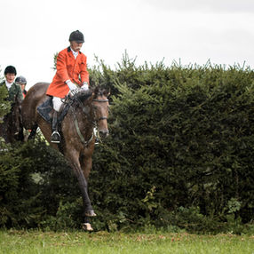 Fritz Pape 1947 - 2023