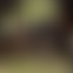 Verbandsjagd verlegt nach Rheinböllen