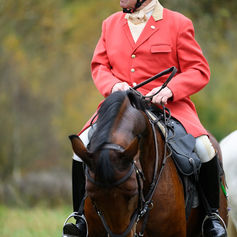 80 und dazu Schleppjagd: Horst Siegel