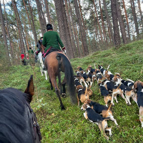 1. Station Pichersee/ Brandenburg