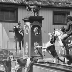 Kurs in Marbach auch mit Leihpferd