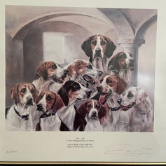 Benefiz-Auktion für die Hounds des SvB