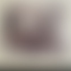 Benefiz-Auktion für die Hounds des SvB