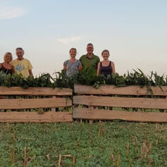 Alles neu zur BMM-Jagd in Melle