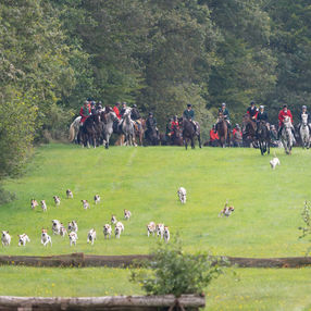 Zwei Meuten am Schloss Fasanerie