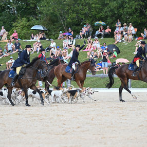 Meute-Präsentation in Schwaiganger
