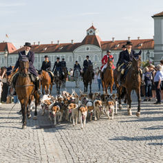 Historien-Schaubild in Nymphenburg