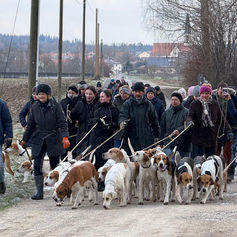 Neujahrs-Spaziergang mit Hounds