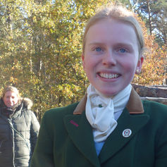 Vollblut im Jagdfeld