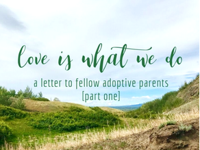 Love is What We Do: a letter to fellow adoptive parents [Part I]
