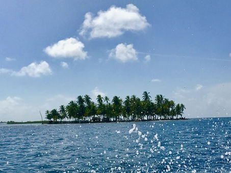 Would You Eat Meat On a Desert Island?