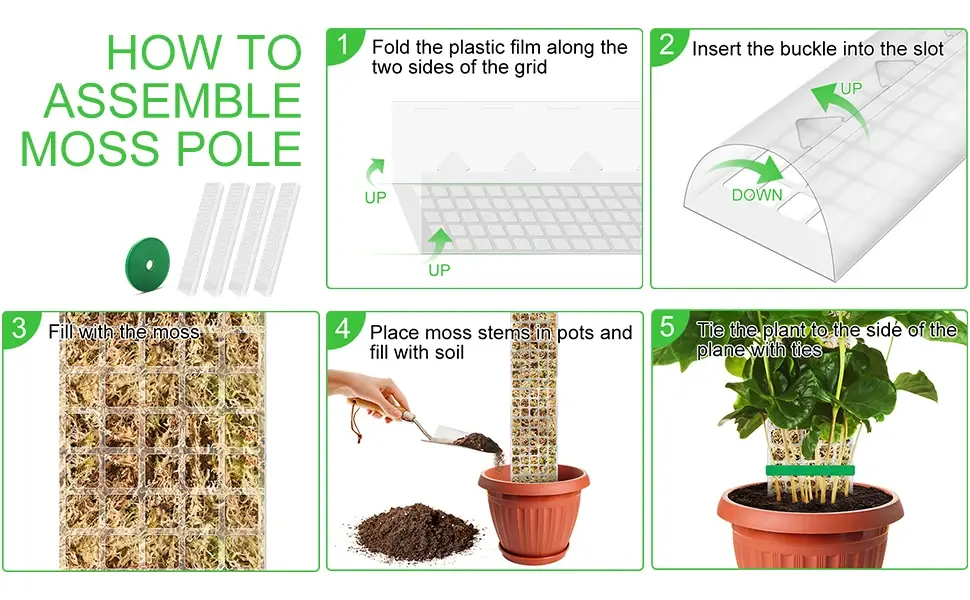 Thumbnail: Plant Moss Pole Kit - Climber Support 24" Pack of 4 or 8