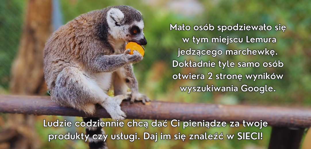 LEMUR.png