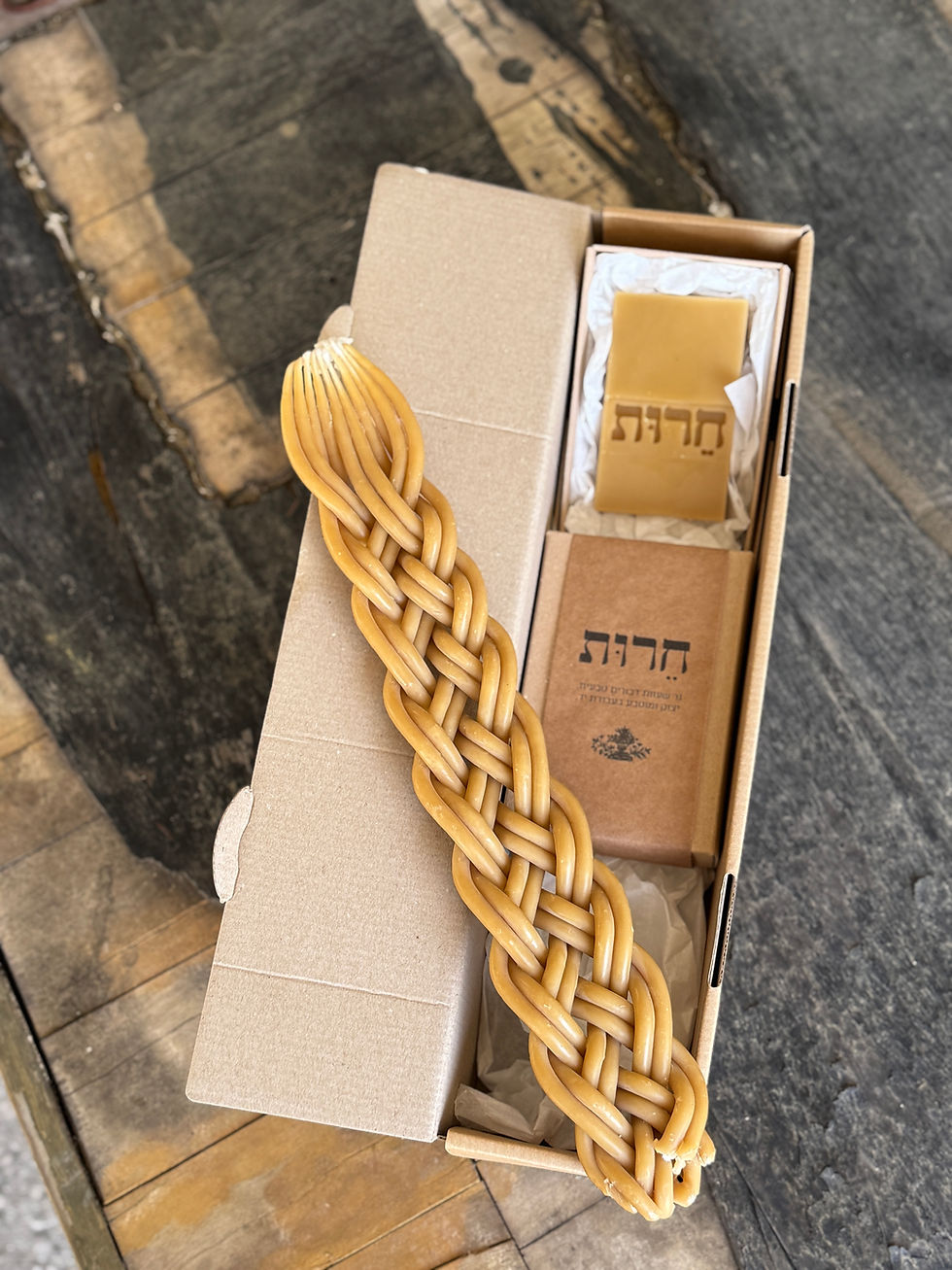 Thumbnail: Giant braided Beeswax Havdalah candle torch