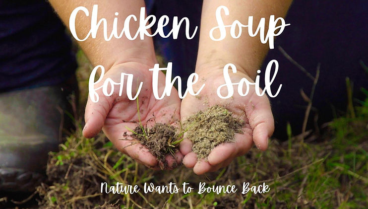 Chicken Soup for the Soil Thumbnail.jpg