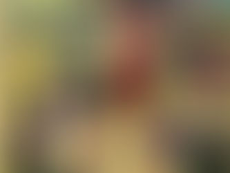 Sarva shatru nashak Hanuman Shatrunjay Langoollastra stotra sadhana: