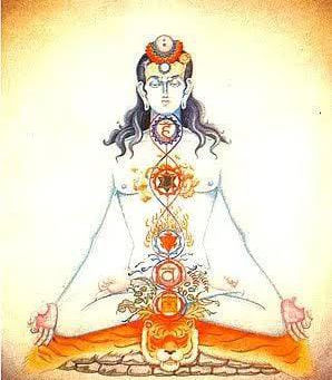 Seven stages of a sādhaka