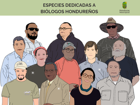 Biodiversidad con nombre catracho: homenaje a los biólogos hondureños