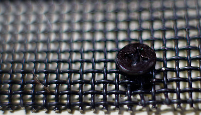 Panther Protect stainless steel mesh exceeds salt spray test for rust resistance