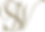 logo SW.png