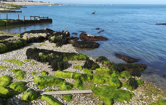 View along East Beach Selsey from  Bill point to Bognor, rocks in foreground, fishing boats in back ground