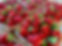 IMG_0011.jpeg