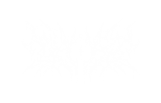 XELESIAH DEATH LOGO 透過 白.png