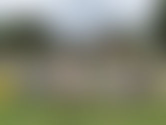 6月途中入園の見学について