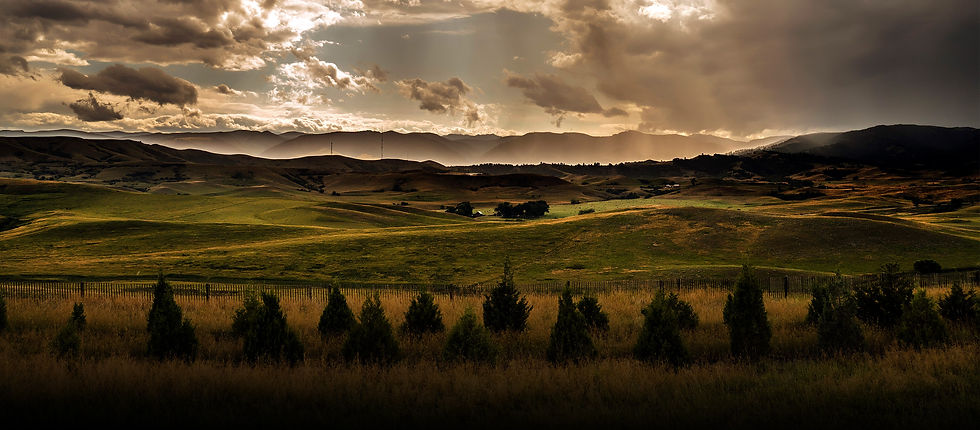 degaje fb cover image4.jpg