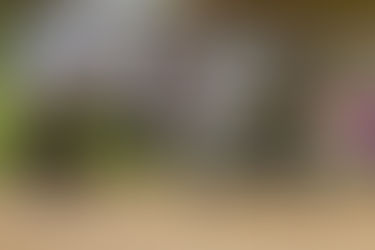 Boys, Bats & Baseballs