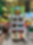 Kakemono de sculptures sur ballons