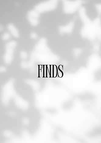 FINDS.png