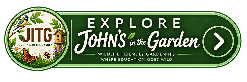 Explore JITG