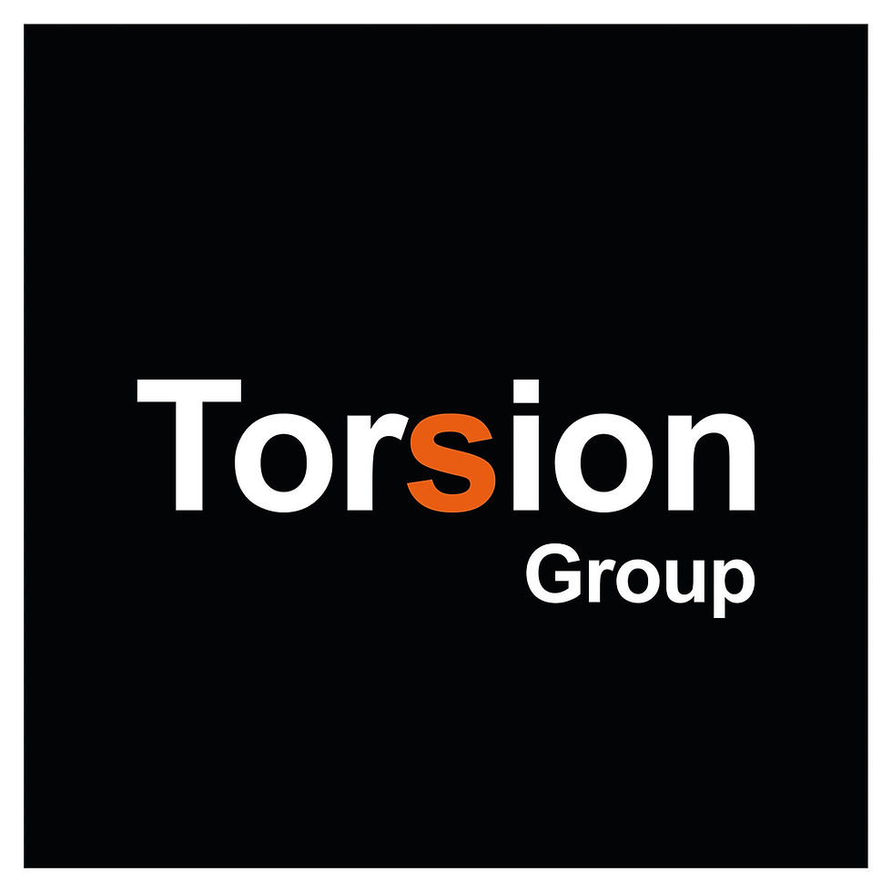 Torsion Group.jpg