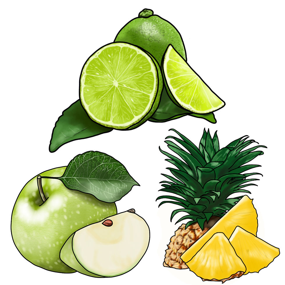 Lime, apple and pineapple flavours (drawn by the Wine Smeller 2025)