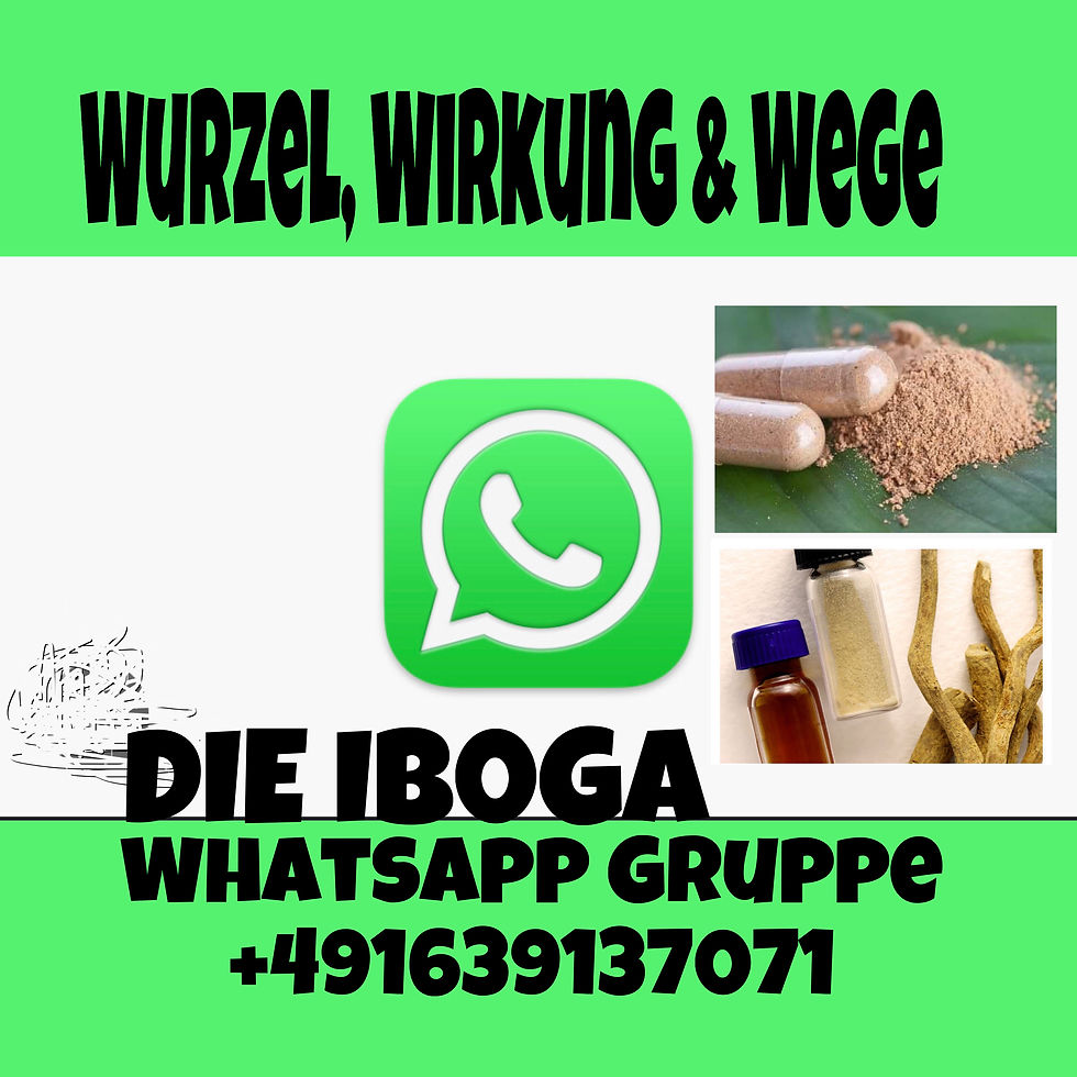 IBOGA Whatsapp Gruppe zum Erfahrung- und Info austauschen